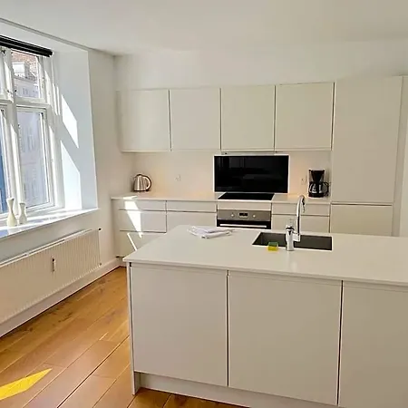Perfect 3br Flat In The Centre Of 3* Kodaň