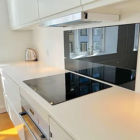 Perfect 3br Flat In The Centre Of Kodaň
